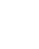 logo-PDI